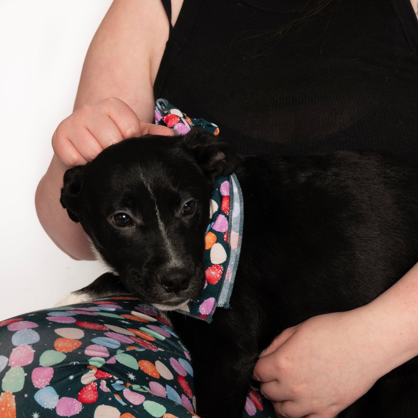 Dog Bandana - Gumdrop Grumbles